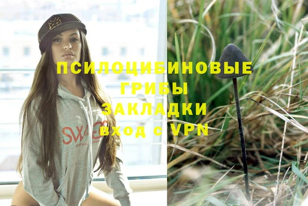 дурь Армянск